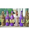 Family Named Bottles set of 6 | Home decor Glass bottles set